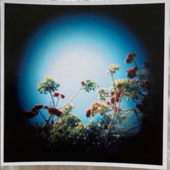Artisan Other - Wild Flowers Photography Original Professional Prints Gift Decor Wall Art